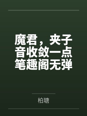 我和我的媳妇封面