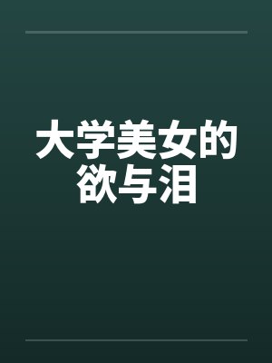 大明世祖封面